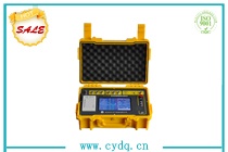 CYYZ-208 氧化鋅避雷器帶電測(cè)試儀